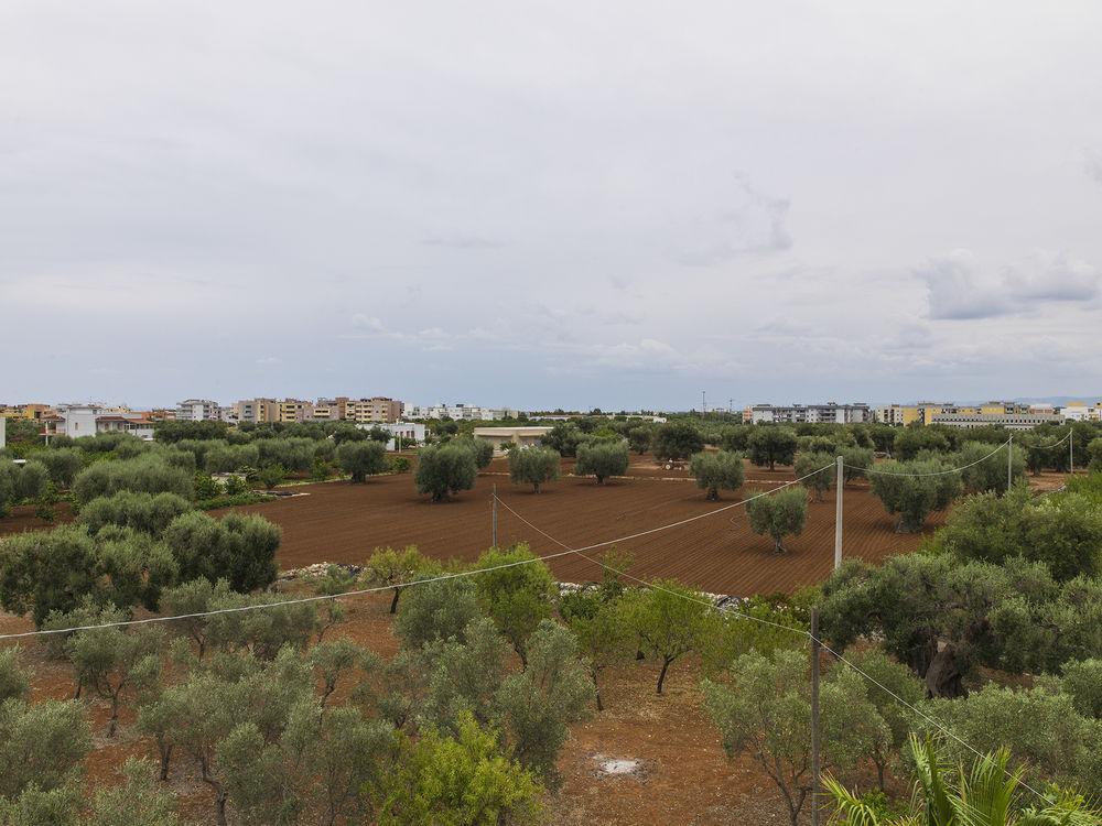 Bed and Breakfast Residenza Il Sole Monopoli Exterior foto